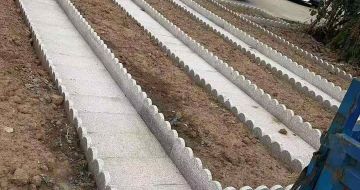 丹东芝麻白花边石